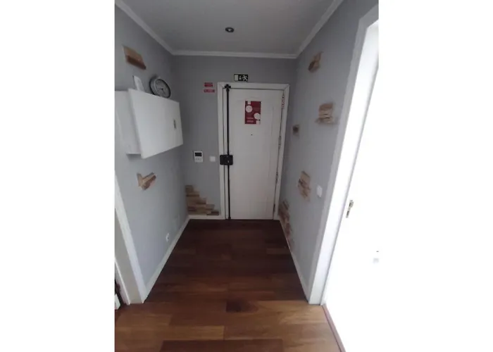 Apartmán Large Contemporary With Three-bedroom