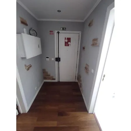 Apartman Large Contemporary With Three-bedroom